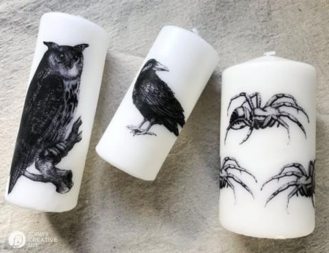 Three white candles, one decorated with an owl, one with a raven, and the third decorated with spiders.